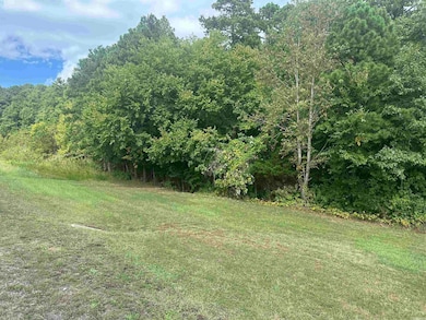 000 Hwy 65 N, Clinton, AR 72031 - photo 2