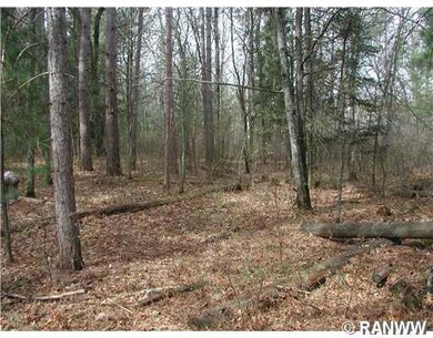 30173 Hwy 35, Swiss Township, WI 54830 - photo 7