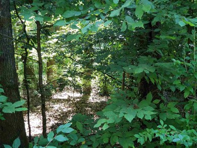 0 Moore Mountain Rd unit 2401556, Baldwin, NC 27312 - photo 2