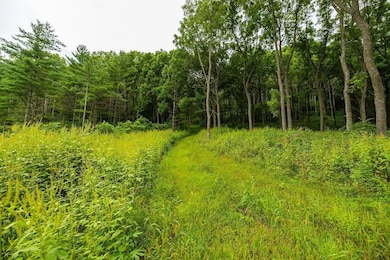 0 Leykom Rd, Waumandee, WI 54622 - photo 4