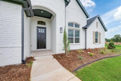 110 Highgate Ct, Boyd, TX 76023 - photo 4