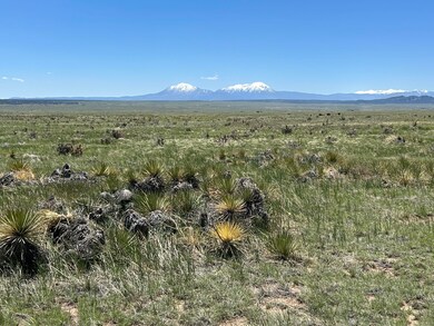Lot 126 Cl&l Unit G, Walsenburg, CO 81089 - photo 2