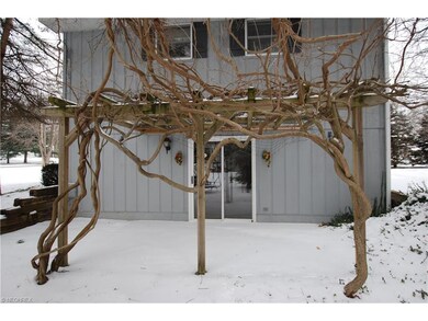 Lovely Vines covering the Side Patio