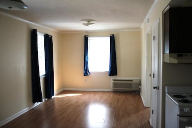 1500 Chester St unit 3, Myrtle Beach, SC 29577 - photo 2