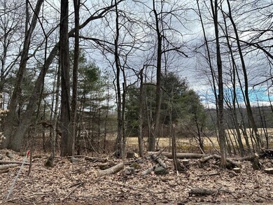 203 Mansion Rd, Dunbarton, NH 03046 - photo 7