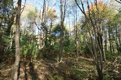 B.1 111th Ave, South Haven, MI 49090 - photo 5