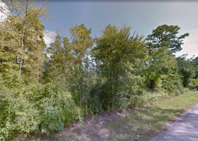 Dewberry Ct, Huntsville, TX 77320 - photo 3