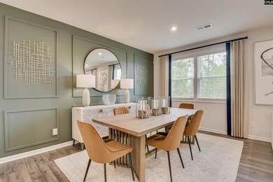 436 Rainbow Shad Way, Lexington, SC 29072 - photo 6