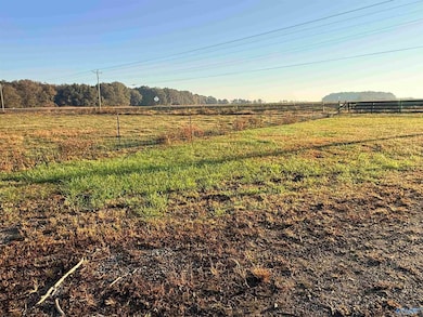 53 Acres County Road 41, Danville, AL 35619 - photo 4