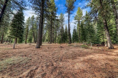 12492 Granite Dr, Truckee, CA 96161 - photo 7