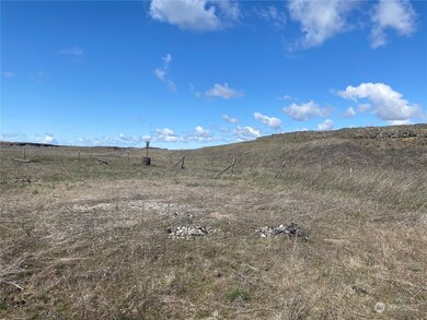 23151 Lone Pine Rd E, Creston, WA 99117 - photo 6