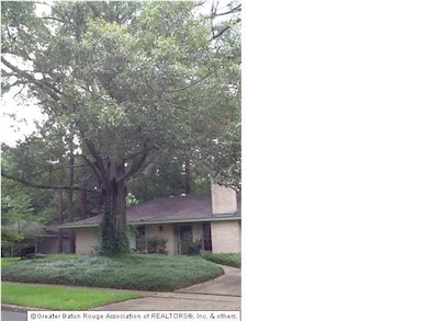 Enormous old oak tree in front yard