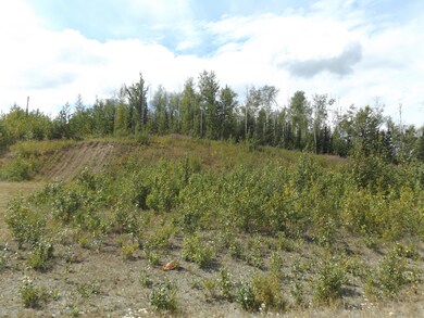 View of Lot