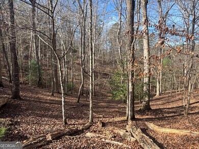 LT 727 Armor Ct, Ellijay, GA 30540 - photo 4