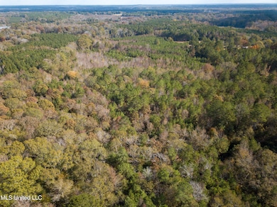 0 80 8 Acres, Carthage, MS 39051 - photo 5