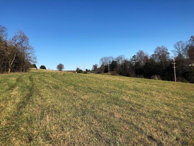 5.9 Ac. - Forest Grove Rd unit 703, Lexington, VA 24450 - photo 2