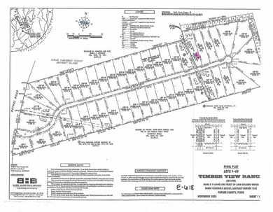 1081 Timber Hills Dr, Weatherford, TX 76087 - photo 5