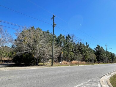 00 Pat Dixon Rd Broxton Hwy & Charles Roger Blvd, Hazlehurst, GA 31539 - photo 5