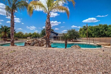 Entertaining Backyard