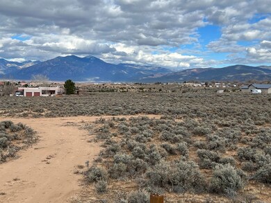 17 Camino Campana, Ranchos de Taos, NM 87557 - photo 7