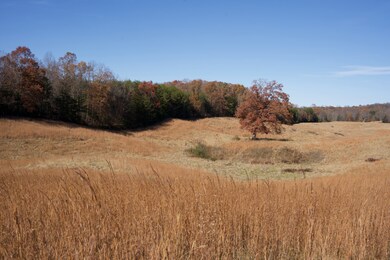 7 Barlow Rd, Rock Island, TN 38581 - photo 5