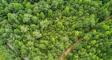 0 N Butts Mill Rd unit 222273, Pine Mountain, GA 31822 - photo 2