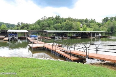 310 Caney View Dr, Harriman, TN 37748 - photo 4