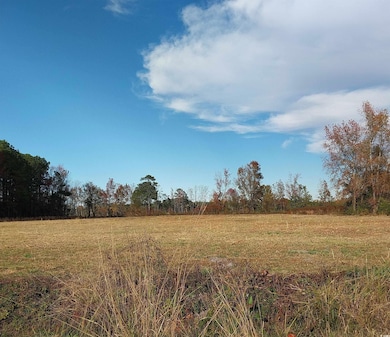 lot 1 Davis Ln, Mullins, SC 29574 - photo 2