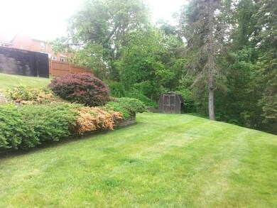 Yard/Garden. Nice level section of back yard, shed