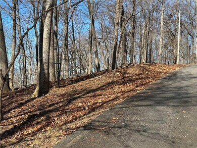 This 1.34 lot has great winter views and should accommodate any floor plan that meets the restrictions of the community.