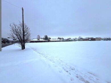 410 W Chicago Rd, Sturgis, MI 49091 - photo 4