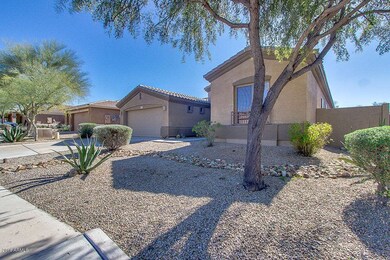 03-Desert View_Photos