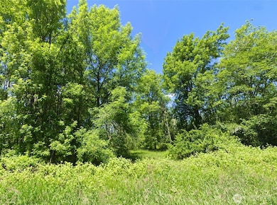 754 Cousins Rd, Chehalis, WA 98532 - photo 4