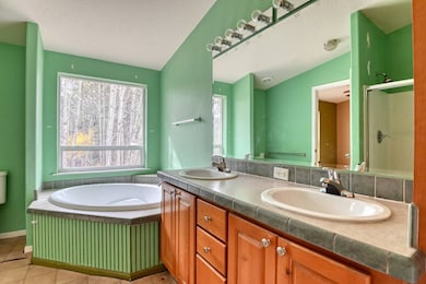 5413 County Rd, Florissant, CO 80816 - photo 5