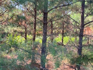 0 Lot 76 Ruts Pine Loop, Broken Bow, OK 74728 - photo 3