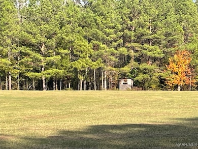 . County Road 69, Valley Grande, AL 36701 - photo 3