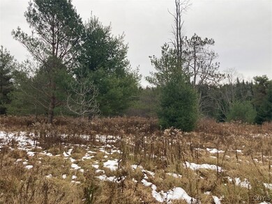 unlisted-address, Ohio, NY 13324 - photo 2