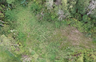 aerial view of the cleared area