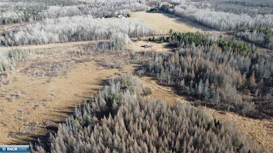 7917 Hinkkanen Rd, Cedar Valley Township, MN 55736 - photo 4