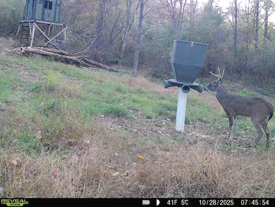 14405 Ohio 83, Coshocton, OH 43812 - photo 3