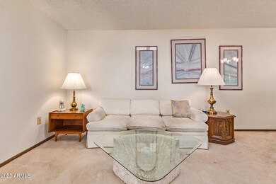 0005-05 Thunderbird 10833