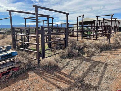 Tract 7 Road K 3, Cortez, CO 81321 - photo 7