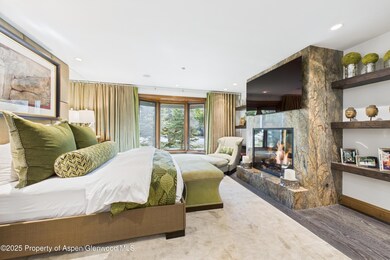 914 E Cooper Ave unit EAST, Aspen, CO 81611 - photo 5