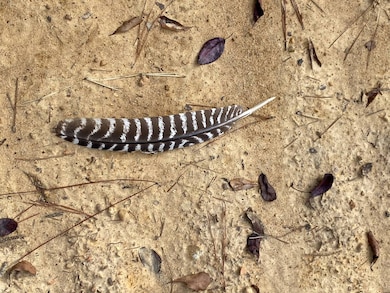 1 Highway 59, Stockton, AL 36579 - photo 3