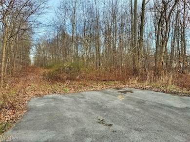 0 Vl Glenwood Ave unit 5175896, Lake Milton, OH 44429 - photo 2