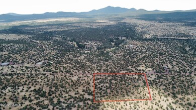 RemoteMediaFile_6553936_0_2022_07_12_11_