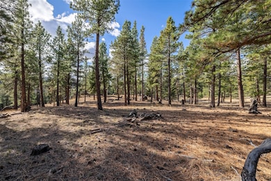 TBD Lump Gulch, Clancy, MT 59634 - photo 5
