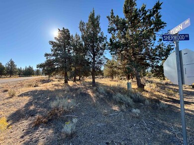 Unit 8-2 Lot 145- Sherwood Rd unit 8-2, Weed, CA 96094 - photo 6