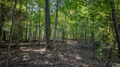 Lot 11 Riverbend Rd, Mammoth Spring, AR 72554 - photo 5