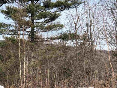 00 Shaw View Dr, Tuftonboro, NH 03816 - photo 6